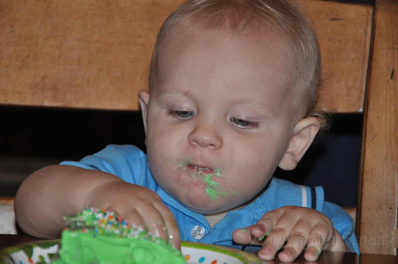 William's 2nd 1st Birthday Party 321.jpg